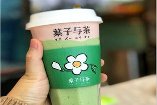 加盟葉子與茶需多少費用？冰淇淋加盟機遇解析