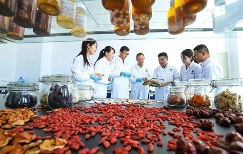 科技賦能，張掖植物工廠助力農(nóng)特產(chǎn)品提質(zhì)增效